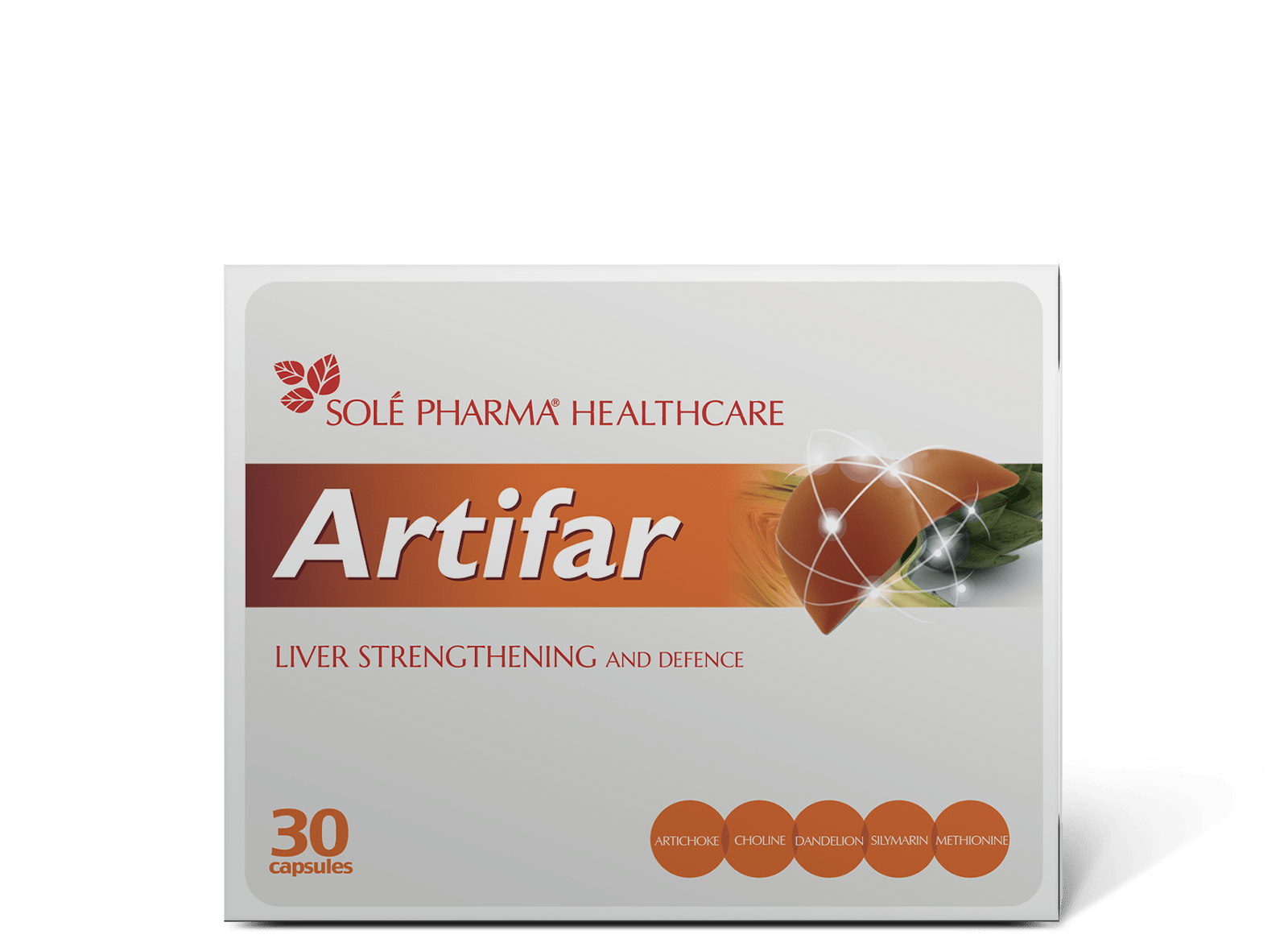 Artifar europe liver support detox hepatoprotection digestive system silymarin choline methionine dandelion