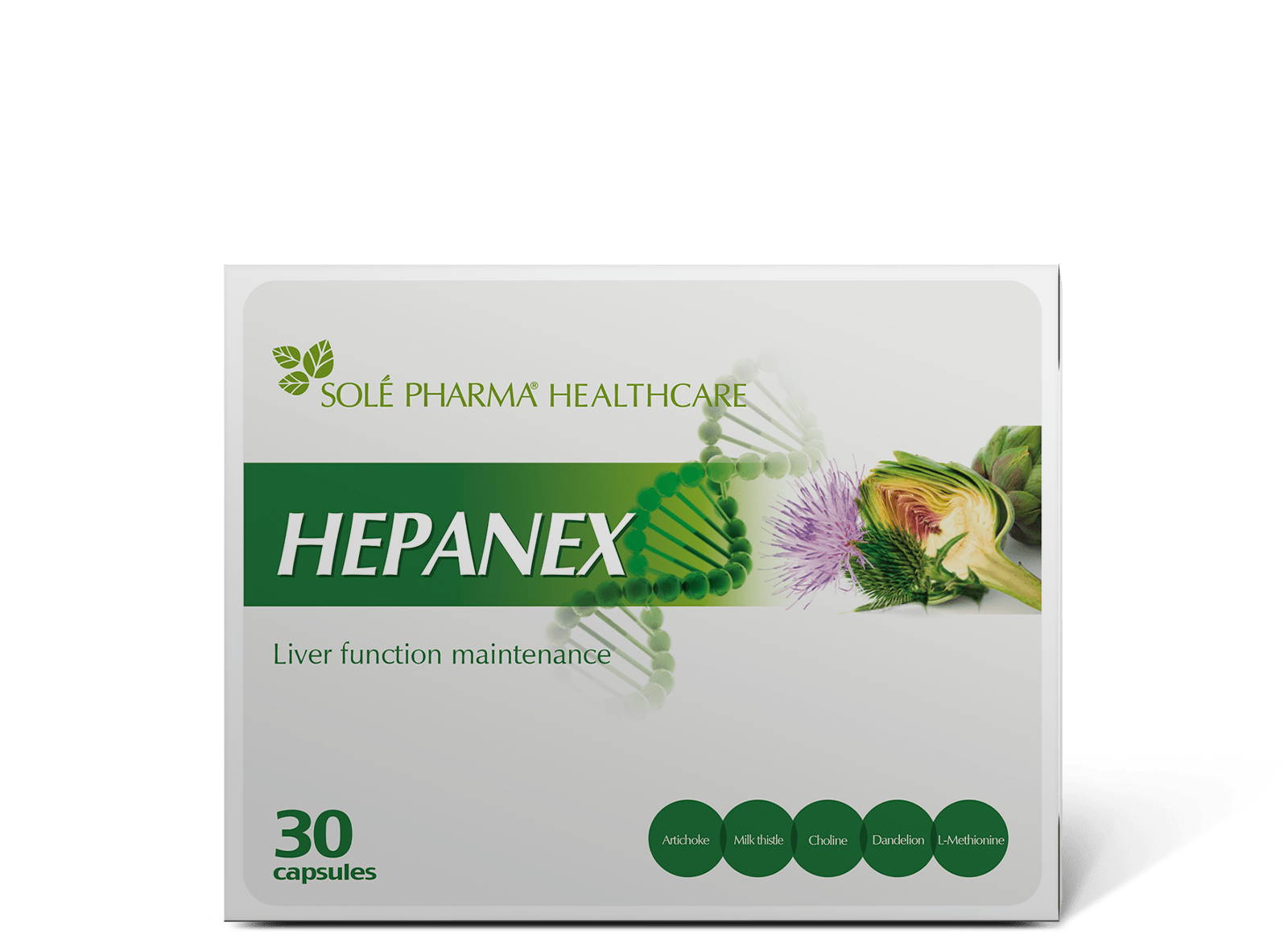 Liver and gallbladder complex, support, plant extracts and amino acids for hepatoprotection, production of bile, detoxification, digestion